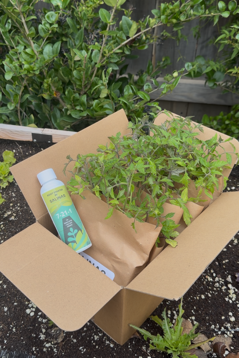 <h2>Grown by Gardeners Like You</h2>