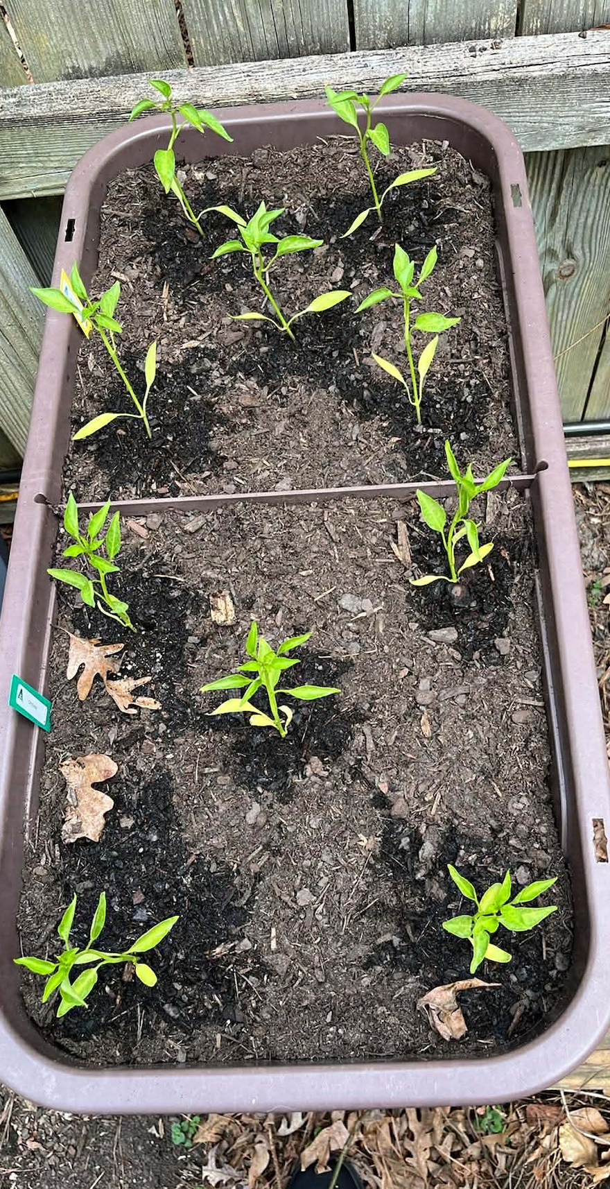 <h2>Grown by Gardeners Like You</h2>