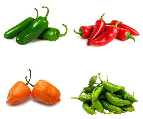 20 Plant Spicy Pepper Bundle 🔥