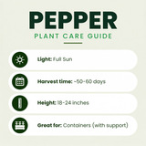 Sweet Banana Pepper (Doblon) Plants