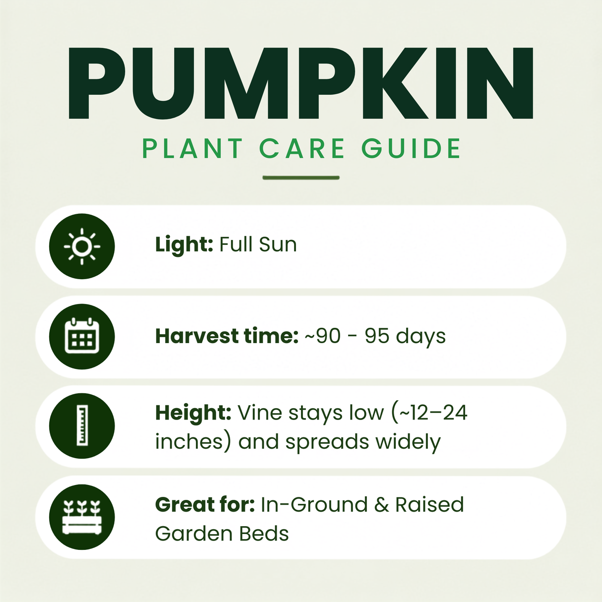 Warty Goblin Pumpkin Plants