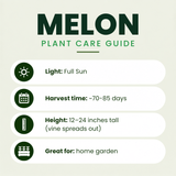 15 Watermelon Plant Bundle + 4 Free