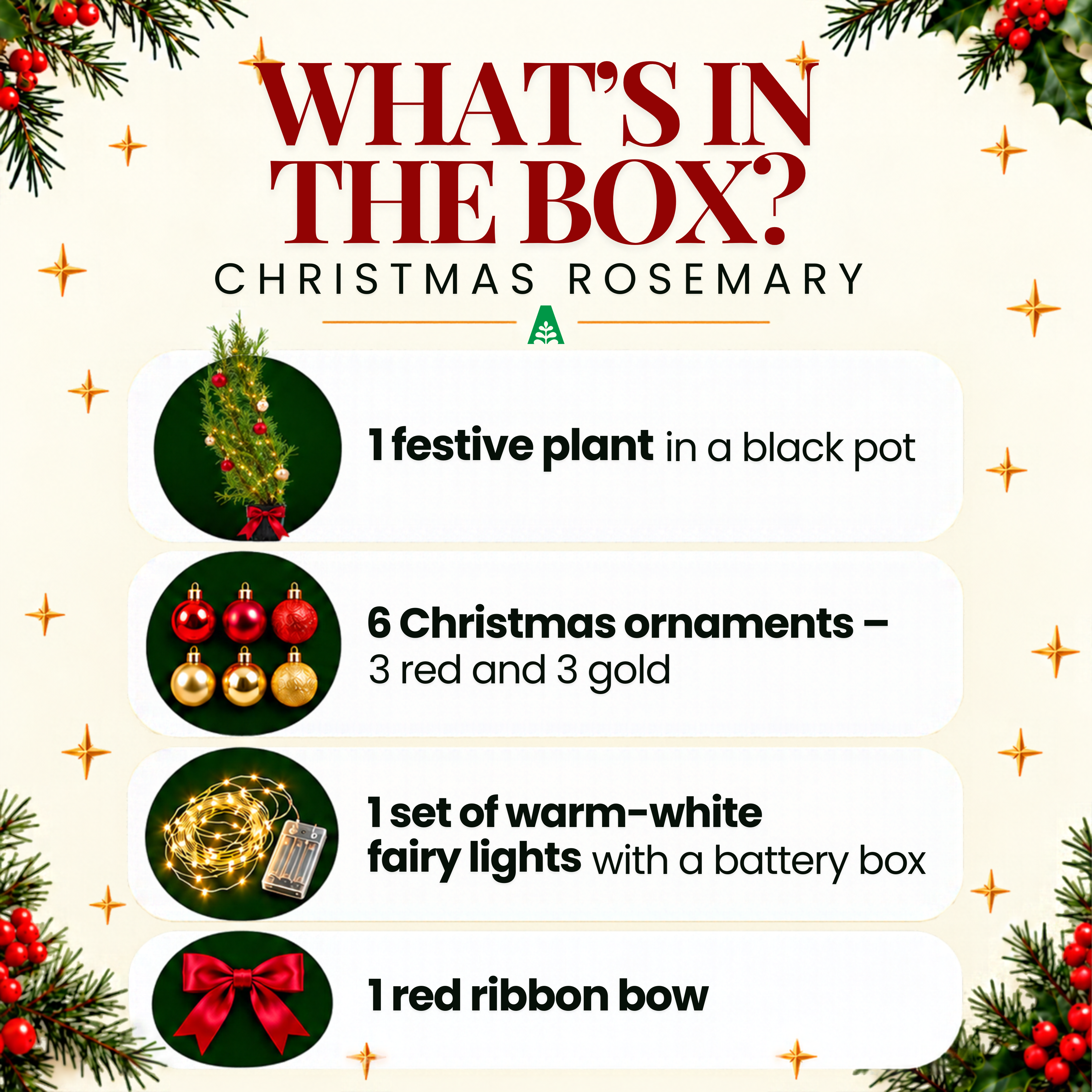 Rosemary Christmas Tree