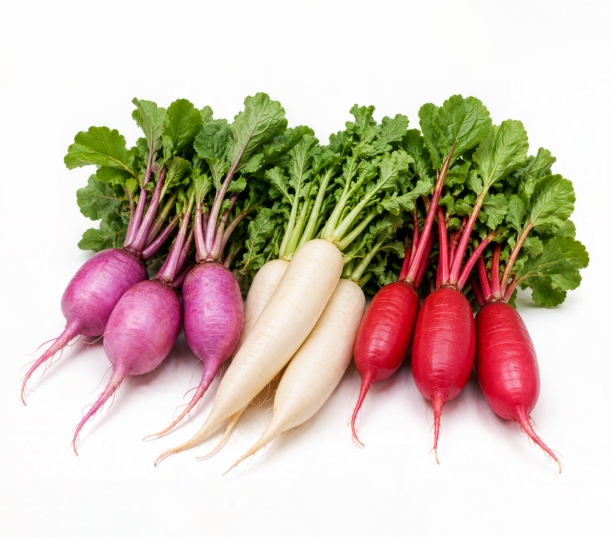 Daikon Radish bundle