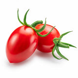 Jolly Girl Grape Tomato Plant