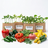 50 Plant Gardener Starter Kit