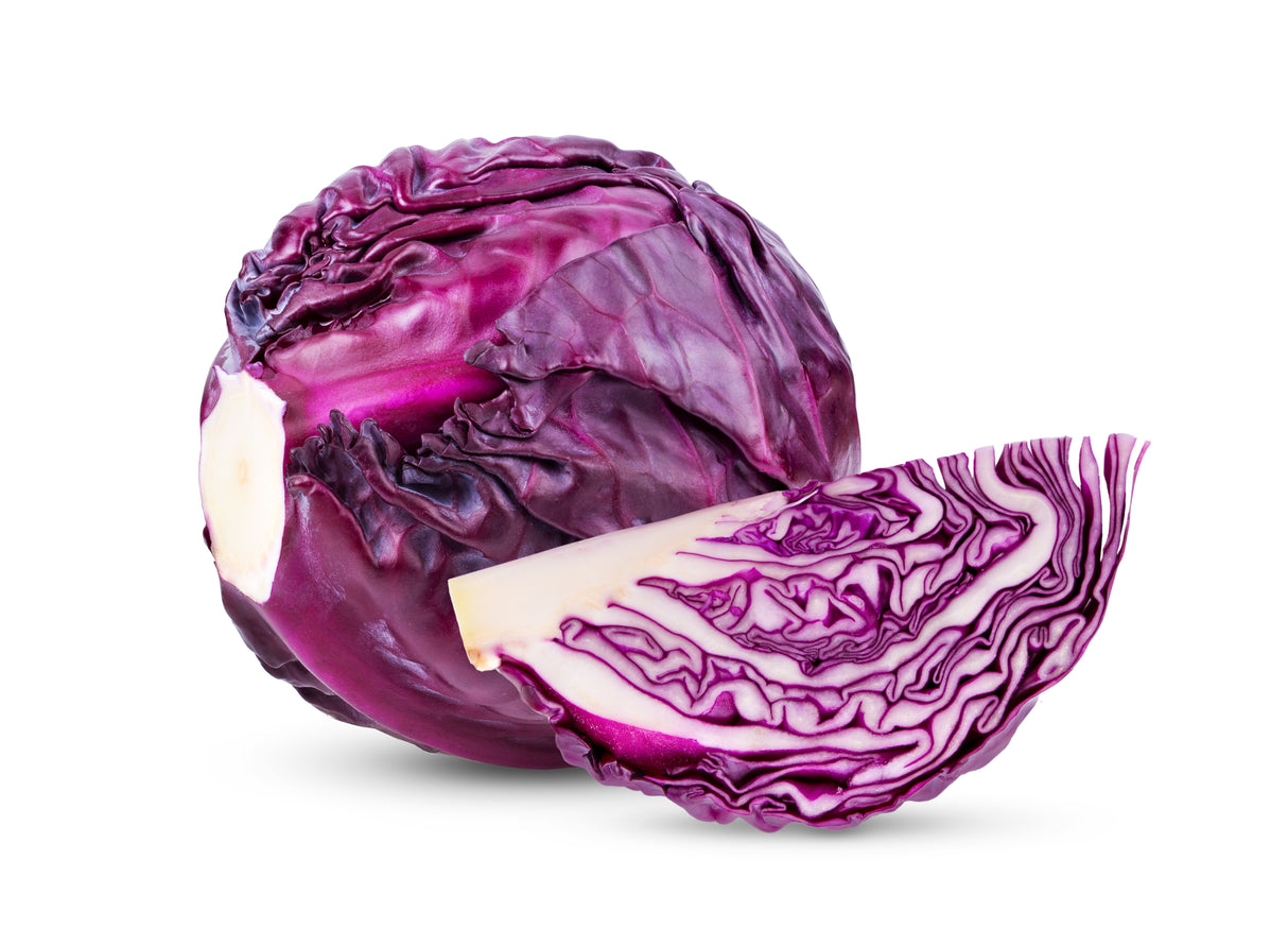 Red Cabbage Plants