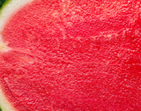 Seedless Watermelon Plants (Red Garnet) + 2 Free Pollinators