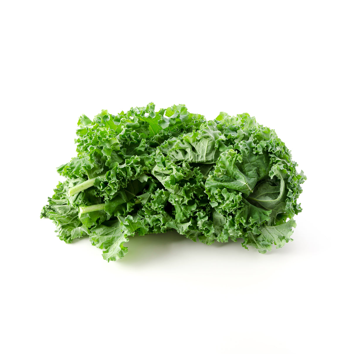 Kale Plants