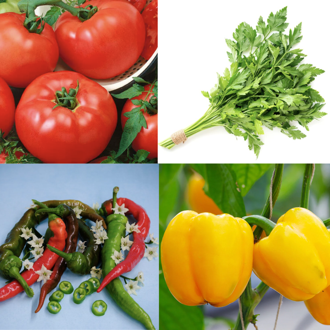 Italian Chef's Pack (Peppers, Tomatoes & Herbs)